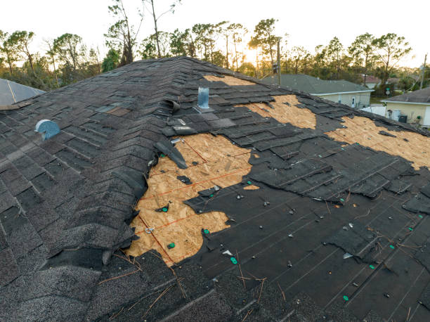 Best Steel Roofing  in Biola, CA