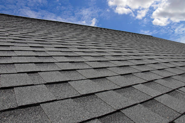 Best Skylight Installation and Repair  in Biola, CA